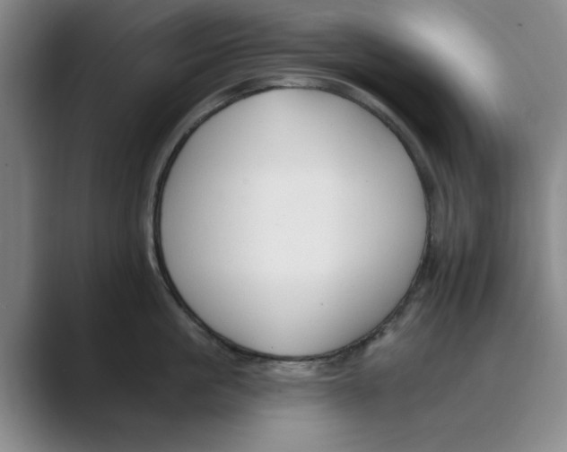 X0000088750861200706282204