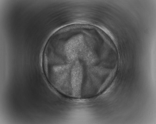 X0000088750862200706282204