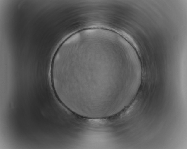 X0000088750863200706282204