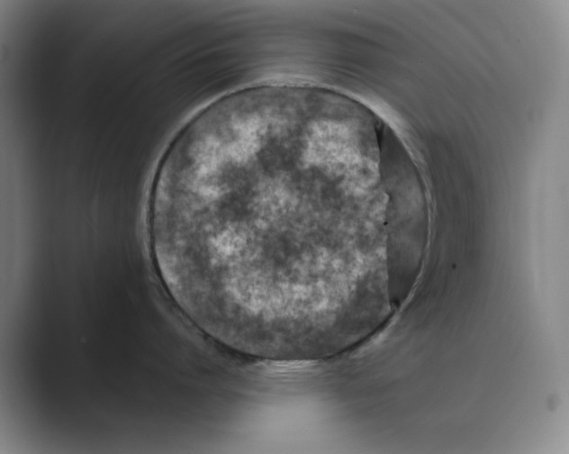 X0000088750864200706282204