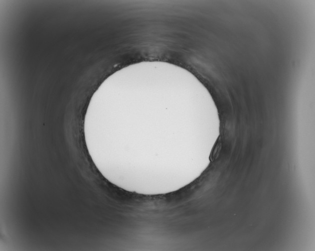 X0000088750865200706282203