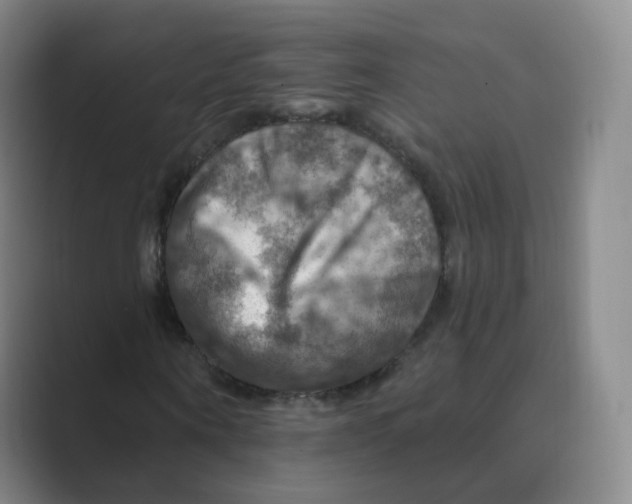 X0000088750866200706282203