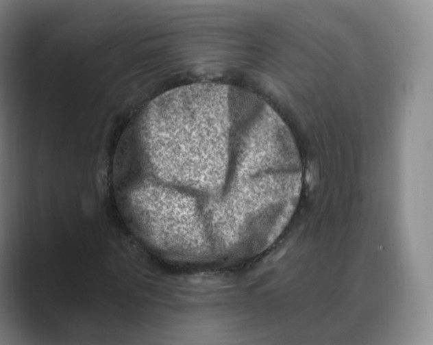 X0000088750867200706282203