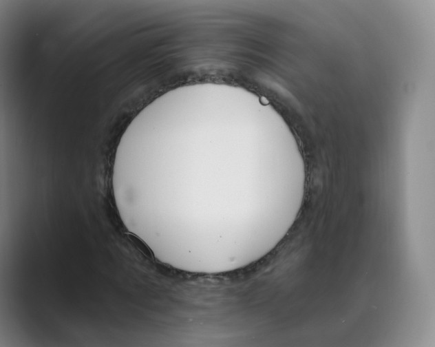 X0000088750869200706282203