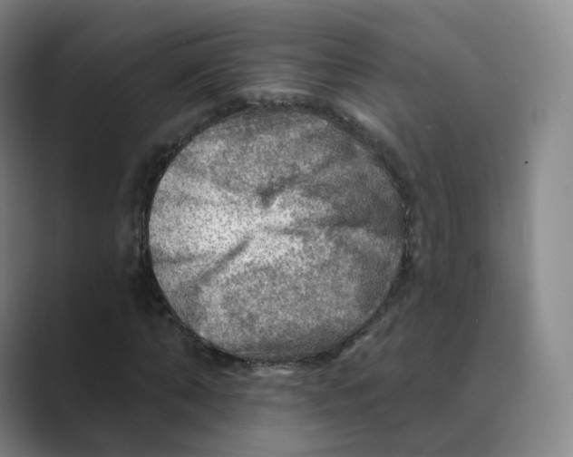 X0000088750870200706282203