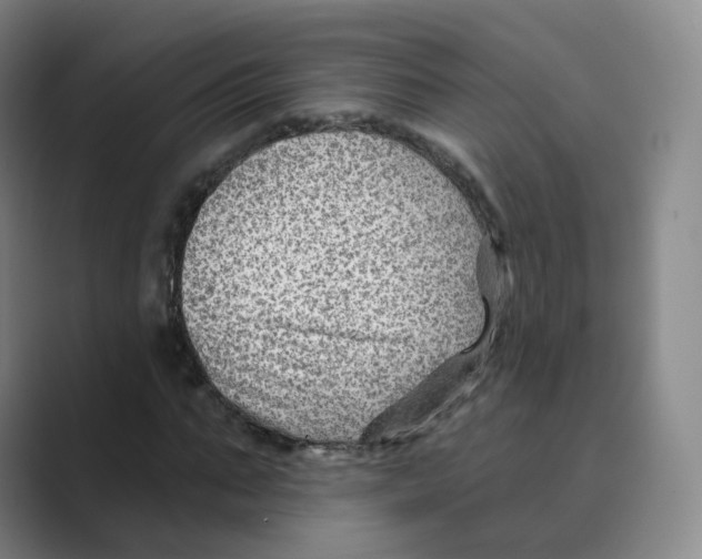 X0000088750871200706282203