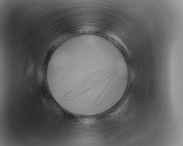 X0000088750874200706282203