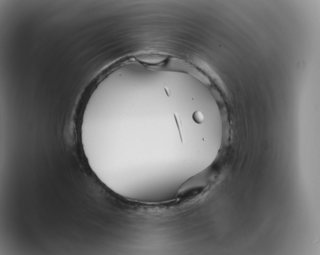 X0000088750876200706282203