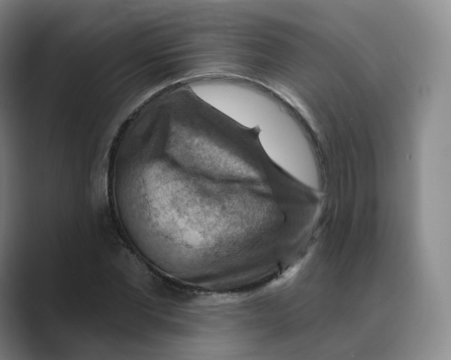 X0000088750877200706282203