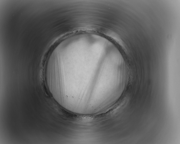 X0000088750878200706282203