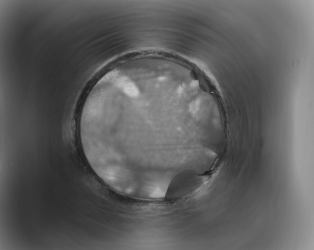 X0000088750879200706282203