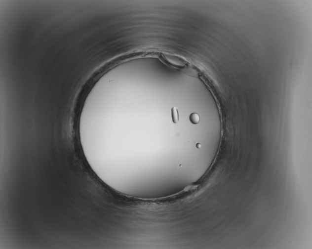 X0000088750880200706282203