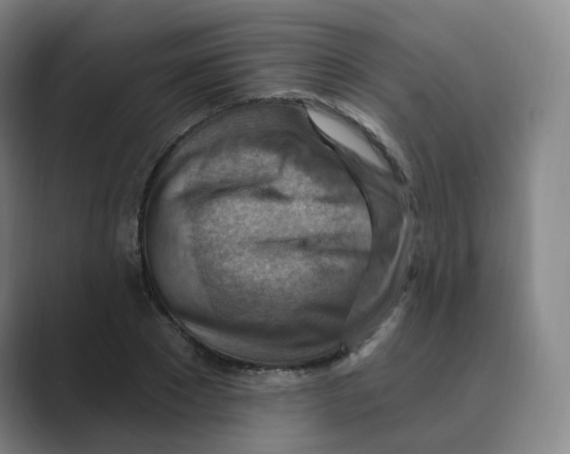 X0000088750881200706282203