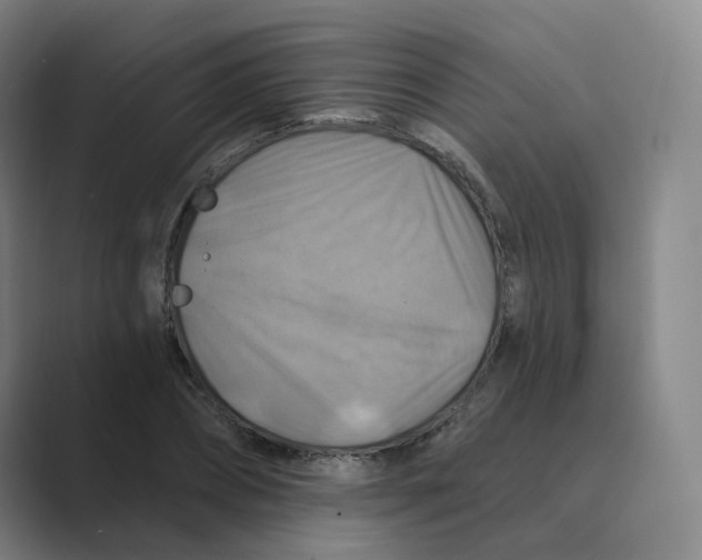 X0000088750882200706282203