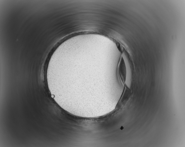 X0000088750883200706282203