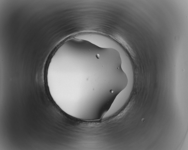 X0000088750884200706282203