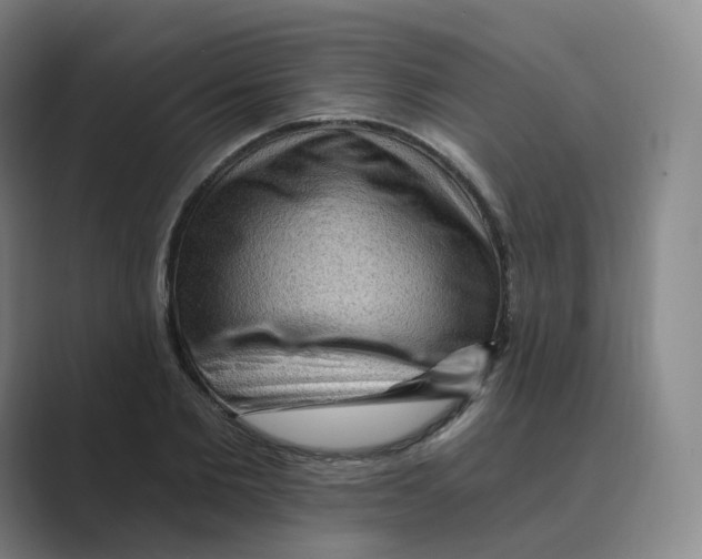 X0000088750885200706282203