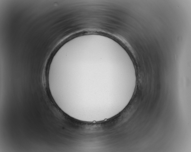 X0000088750887200706282203