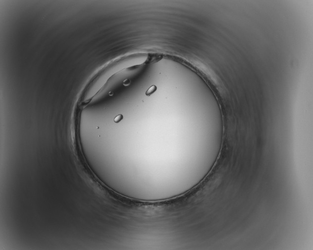 X0000088750888200706282203