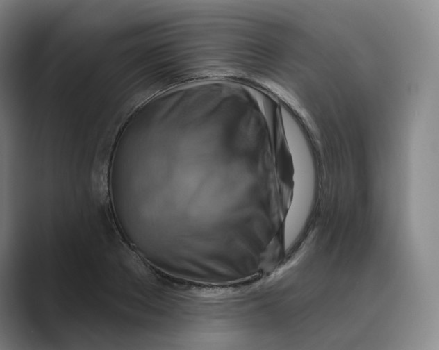 X0000088750889200706282203