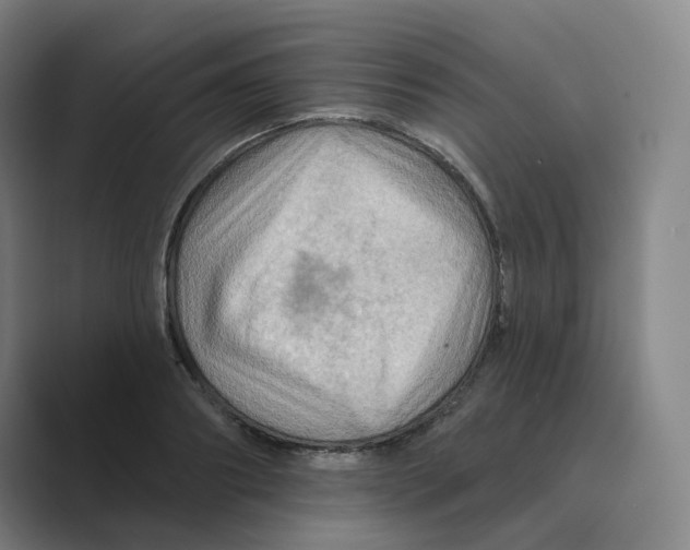 X0000088750890200706282203