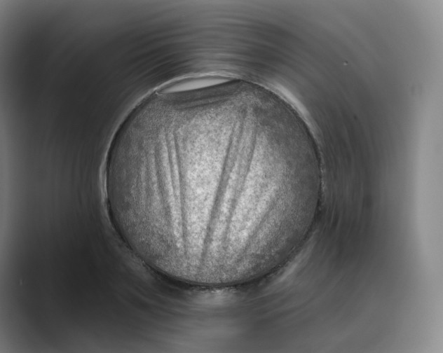 X0000088750891200706282203