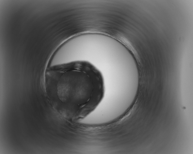 X0000088750892200706282203