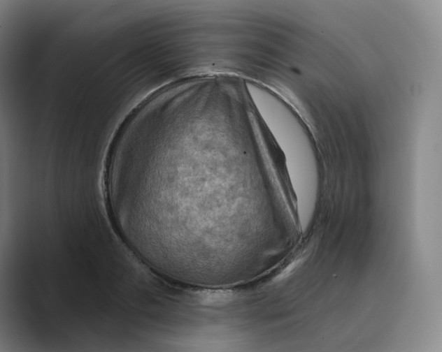 X0000088750893200706282203