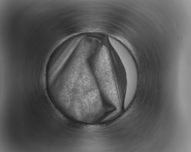 X0000088750894200706282203