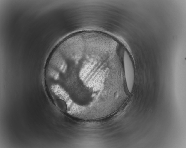 X0000088750895200706282203