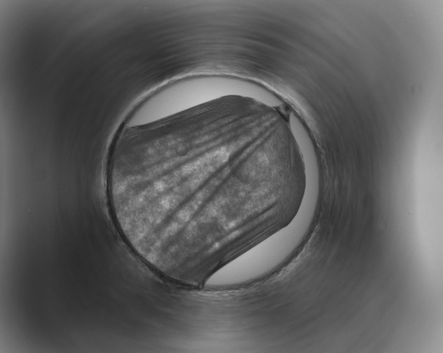 X0000088750896200706282203