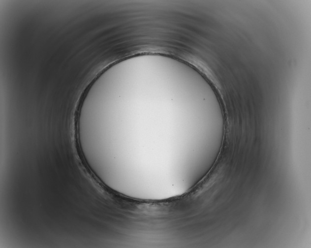 X0000088750898200706282203