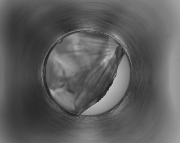 X0000088750899200706282203