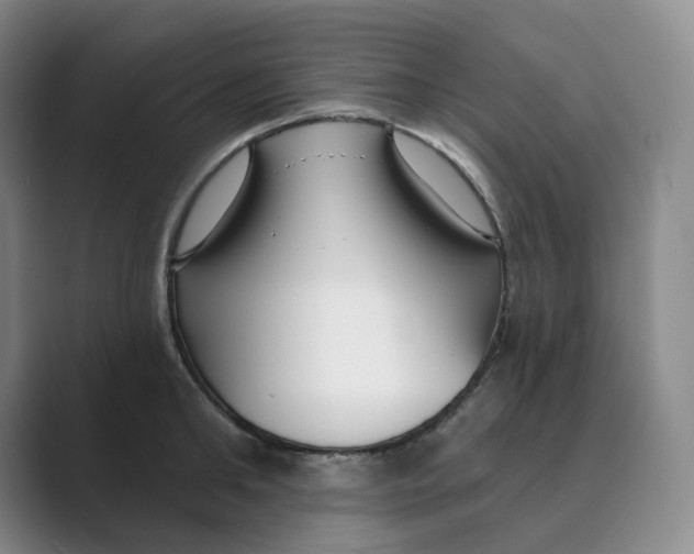 X0000088750902200706282203