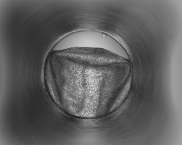 X0000088750904200706282203