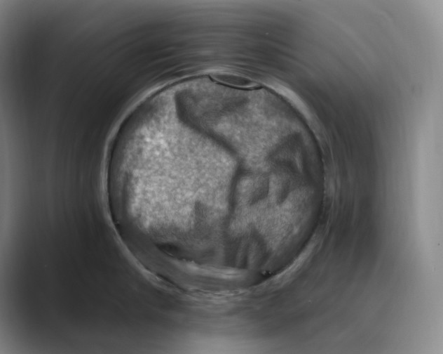 X0000088750910200706282203