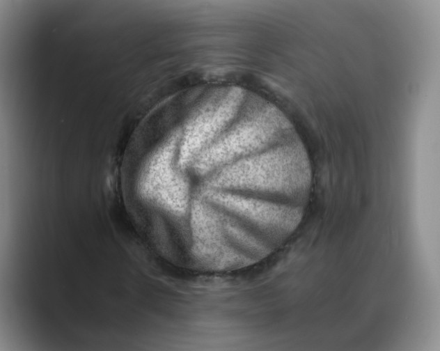 X0000088750914200706282202