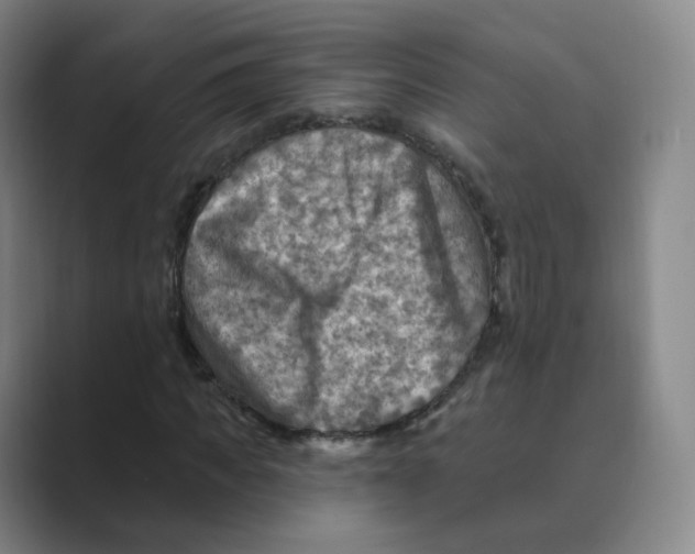 X0000088750917200706282202