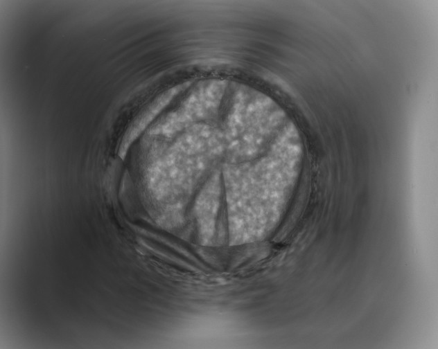 X0000088750919200706282202