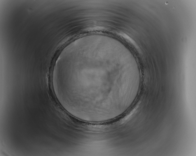 X0000088750921200706282202