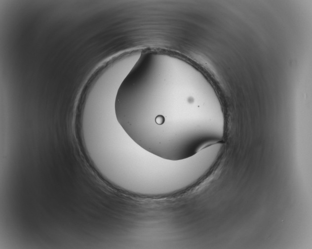 X0000088750924200706282202