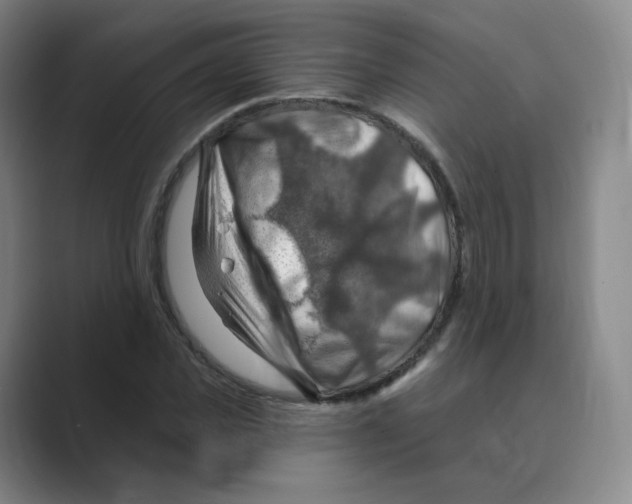 X0000088750925200706282202