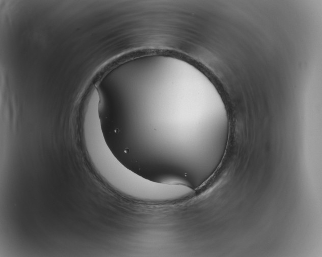 X0000088750926200706282202