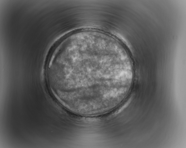 X0000088750928200706282202