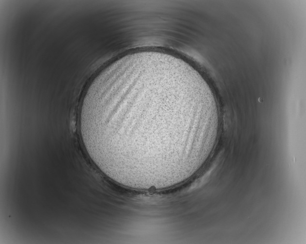 X0000088750929200706282202