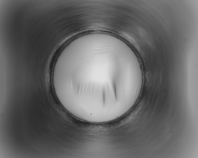 X0000088750931200706282202