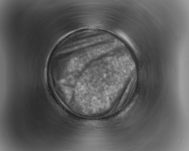 X0000088750932200706282202