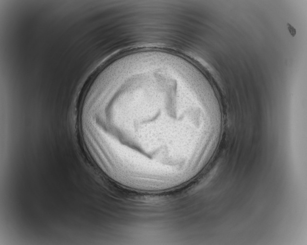 X0000088750933200706282202