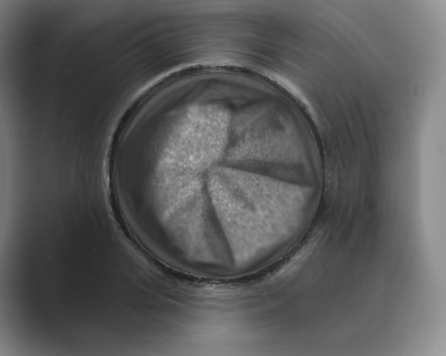 X0000088750935200706282202