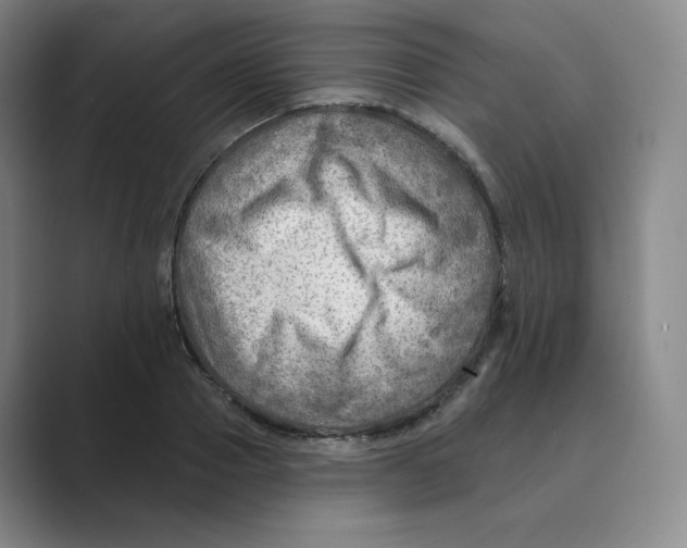 X0000088750937200706282202